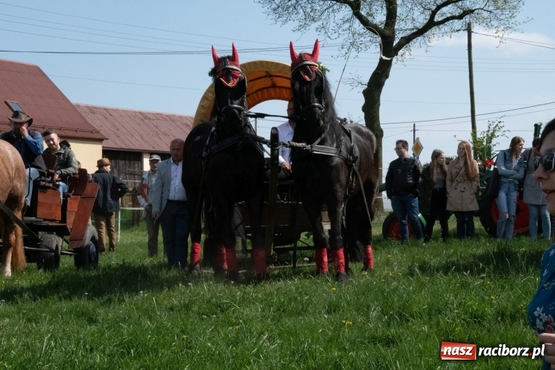 Zdjęcie w galerii na portalu naszraciborz.pl: Konna procesja wielkanocna w Zawadzie Książęcej [FOTO] wiadomości z regionu