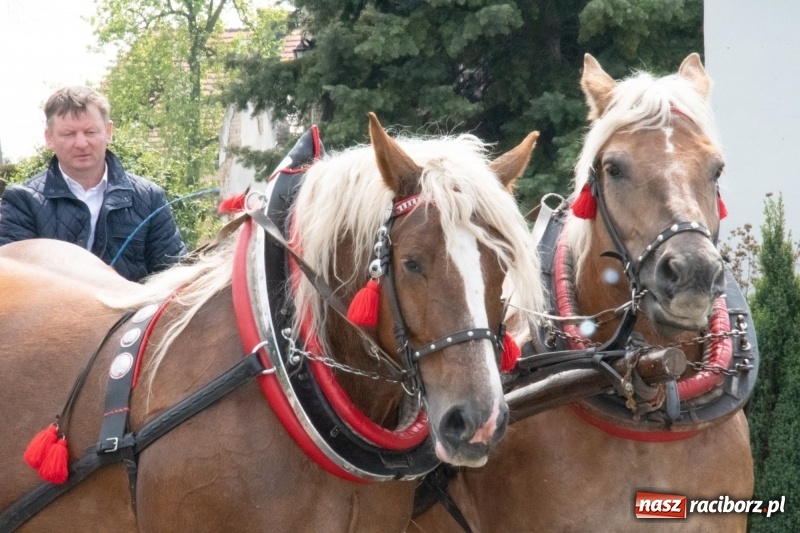Zdjęcie w galerii na portalu naszraciborz.pl: Konna procesja wielkanocna w Zawadzie Książęcej [FOTO] wiadomości z regionu