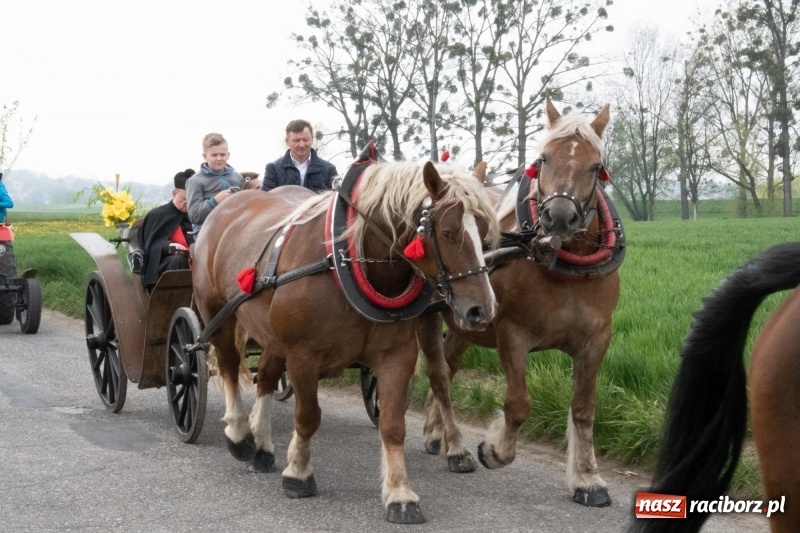 Zdjęcie w galerii na portalu naszraciborz.pl: Konna procesja wielkanocna w Zawadzie Książęcej [FOTO] wiadomości z regionu