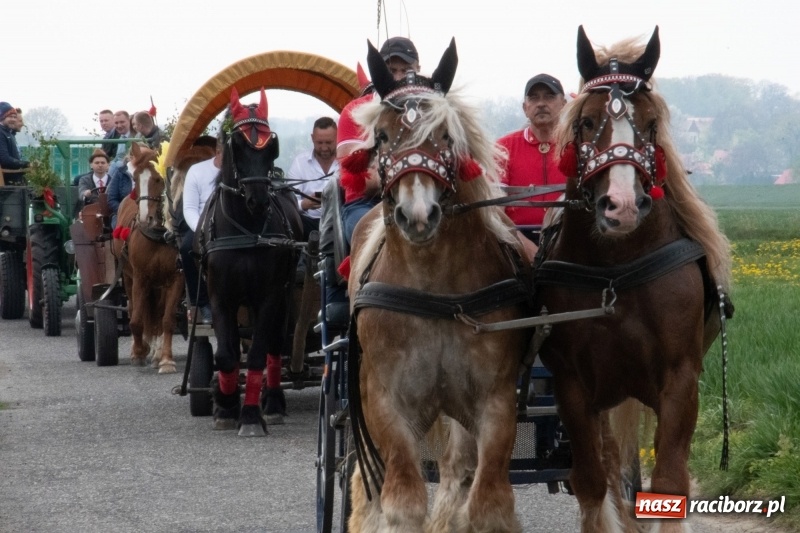 Zdjęcie w galerii na portalu naszraciborz.pl: Konna procesja wielkanocna w Zawadzie Książęcej [FOTO] wiadomości z regionu