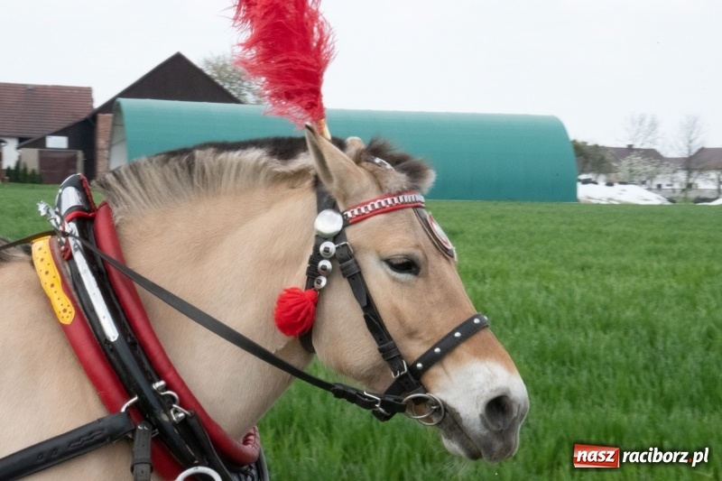 Zdjęcie w galerii na portalu naszraciborz.pl: Konna procesja wielkanocna w Zawadzie Książęcej [FOTO] wiadomości z regionu