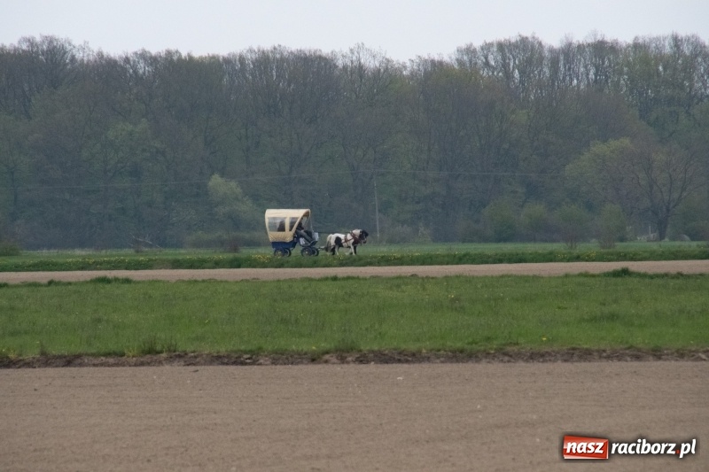 Zdjęcie w galerii na portalu naszraciborz.pl: Konna procesja wielkanocna w Zawadzie Książęcej [FOTO] wiadomości z regionu