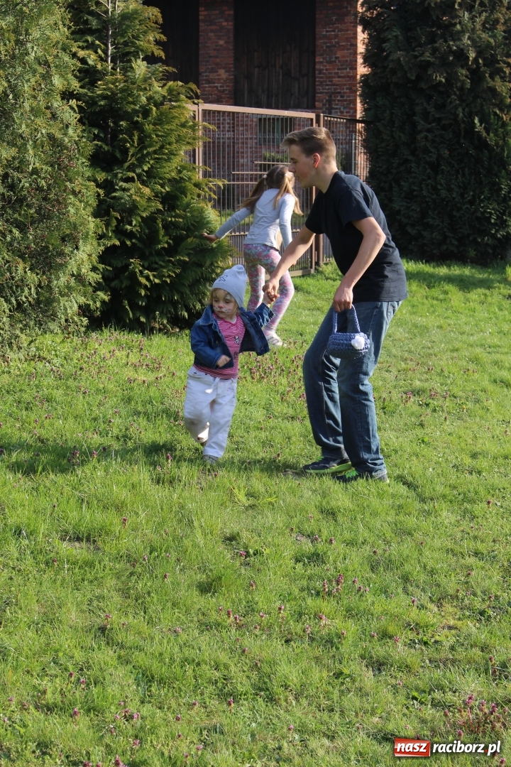 Zdjęcie w galerii na portalu naszraciborz.pl: W Babicach zorganizowali świąteczny bieg kelnera wiadomości z regionu