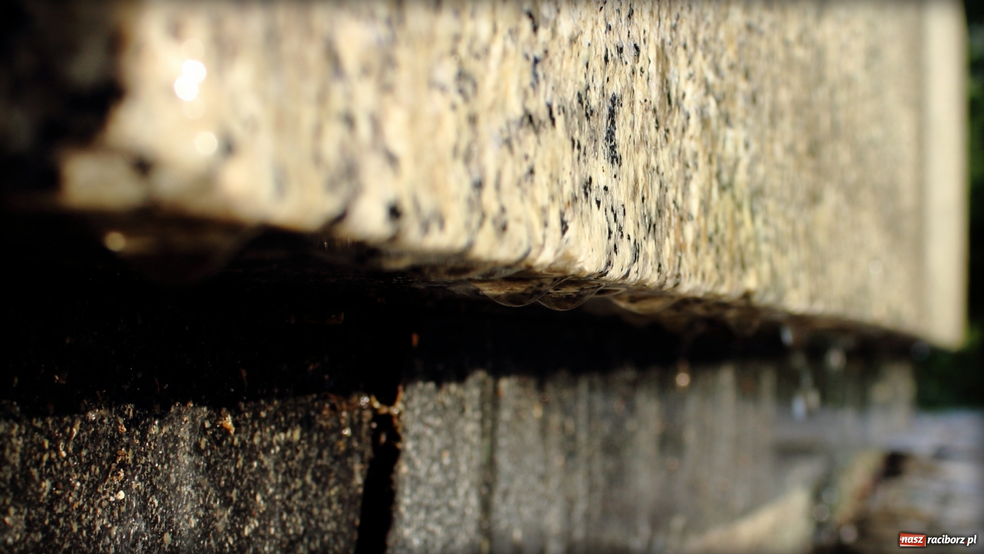 Zdjęcie w galerii na portalu naszraciborz.pl: Wiosenna kąpiel Matki Polki  wiadomości z regionu