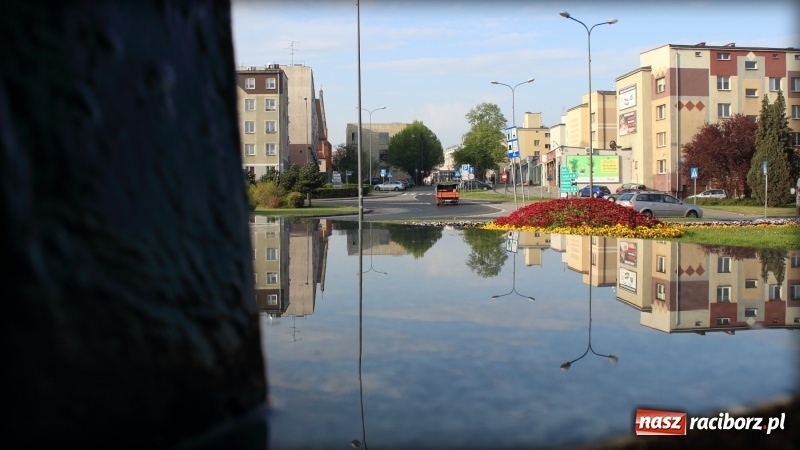 Zdjęcie w galerii na portalu naszraciborz.pl: Wiosenna kąpiel Matki Polki  wiadomości z regionu