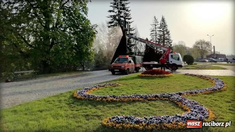 Zdjęcie w galerii na portalu naszraciborz.pl: Wiosenna kąpiel Matki Polki  wiadomości z regionu