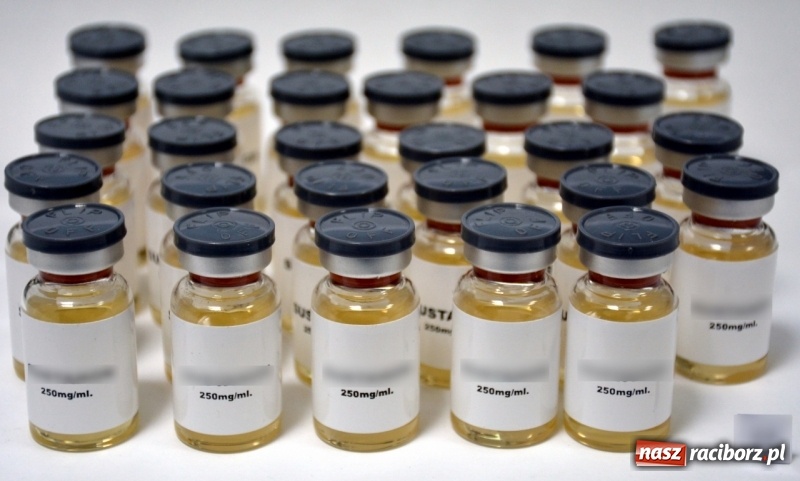 Zdjęcie w galerii na portalu naszraciborz.pl: Zatrzymano kolejnych członków zorganizowanej grupy przestępczej wiadomości z regionu