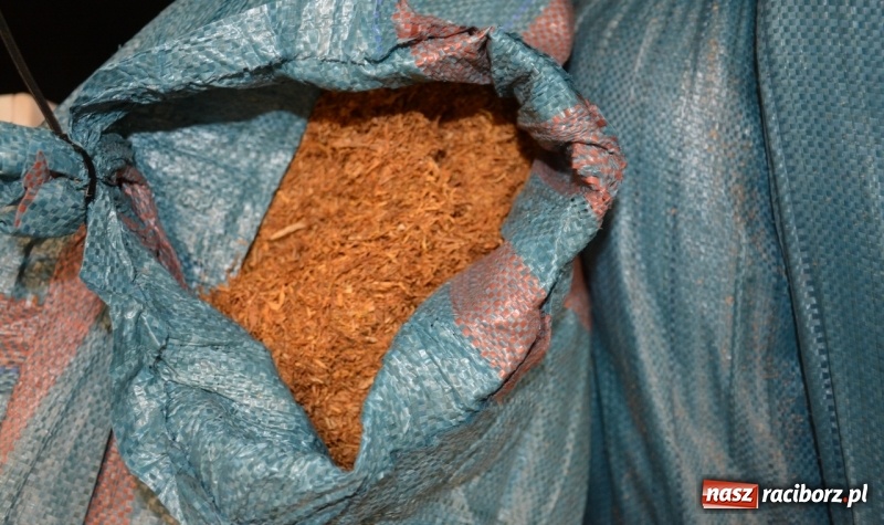 Zdjęcie w galerii na portalu naszraciborz.pl: W samochodzie osobowym przewoził ponad tonę nielegalnej krajanki tytoniowej wiadomości z regionu