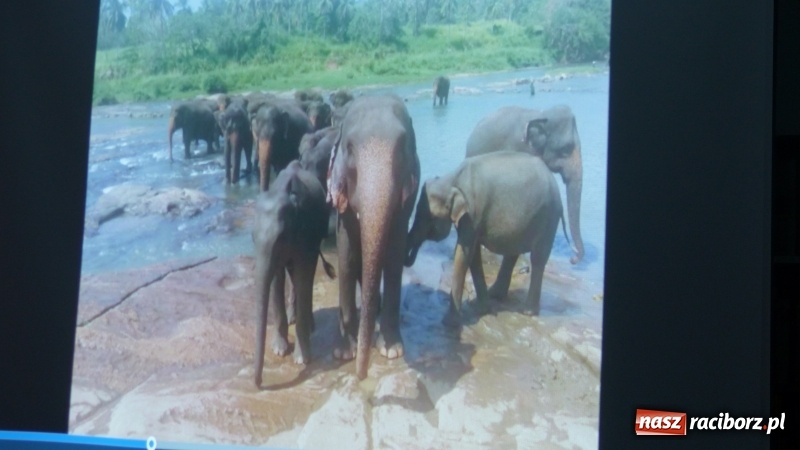 Zdjęcie w galerii na portalu naszraciborz.pl: Slajdowisko podróżnicze w bibliotece w Markowicach  wiadomości z regionu