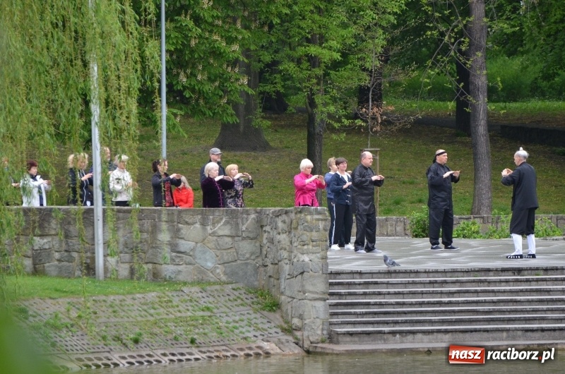 Zdjęcie w galerii na portalu naszraciborz.pl: Tai Chi i Qigong. Energia przepłynęła także przez Racibórz [FOTO] wiadomości z regionu