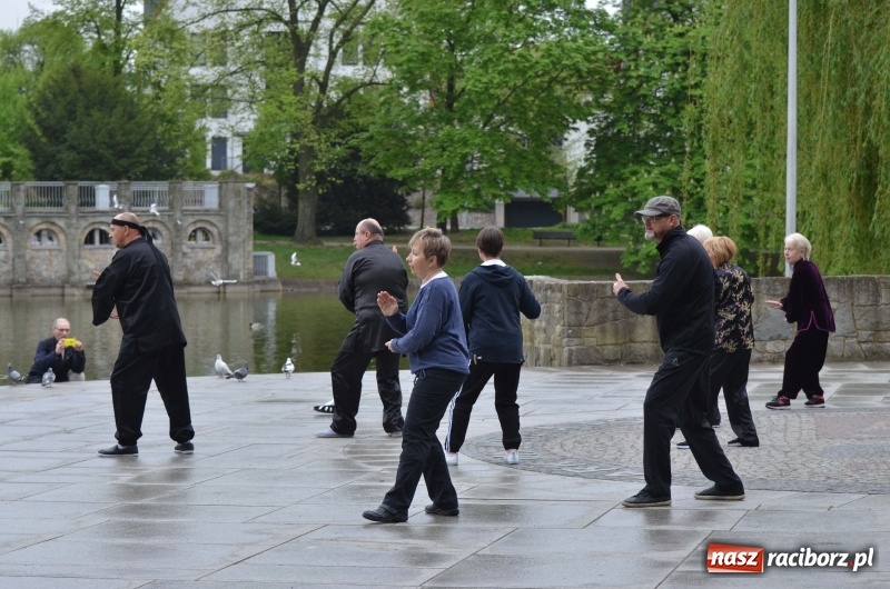 Zdjęcie w galerii na portalu naszraciborz.pl: Tai Chi i Qigong. Energia przepłynęła także przez Racibórz [FOTO] wiadomości z regionu