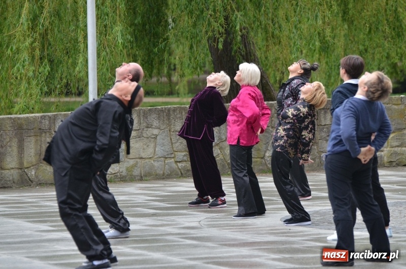 Zdjęcie w galerii na portalu naszraciborz.pl: Tai Chi i Qigong. Energia przepłynęła także przez Racibórz [FOTO] wiadomości z regionu
