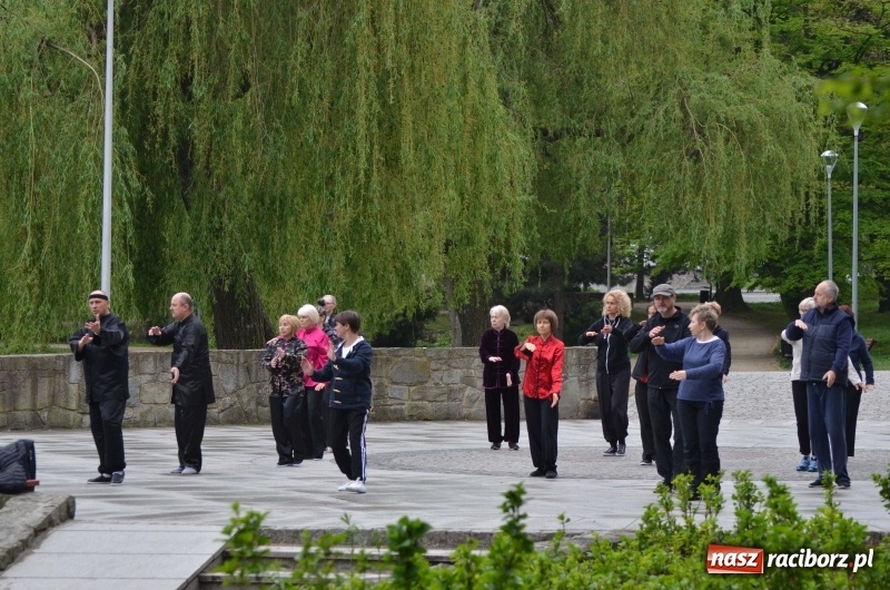 Zdjęcie w galerii na portalu naszraciborz.pl: Tai Chi i Qigong. Energia przepłynęła także przez Racibórz [FOTO] wiadomości z regionu