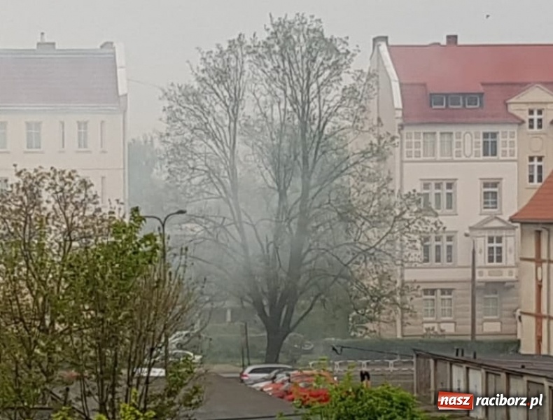 Zdjęcie w galerii na portalu naszraciborz.pl: Duża grupa kibiców pojawiła się pod murami więzienia wiadomości z regionu