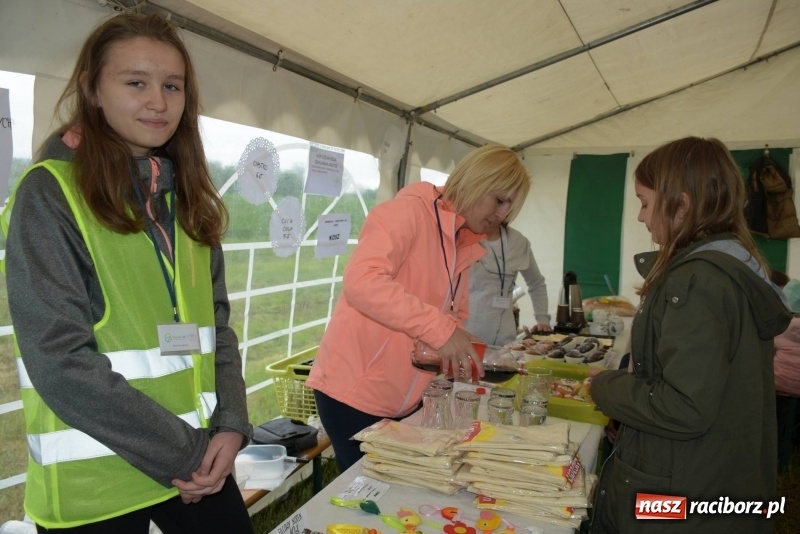 Zdjęcie w galerii na portalu naszraciborz.pl: Biegli i maszerowali, by pomóc Zosi [FOTO] wiadomości z regionu