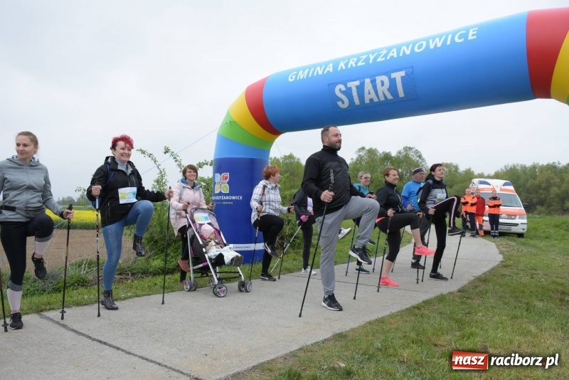 Zdjęcie w galerii na portalu naszraciborz.pl: Biegli i maszerowali, by pomóc Zosi [FOTO] wiadomości z regionu