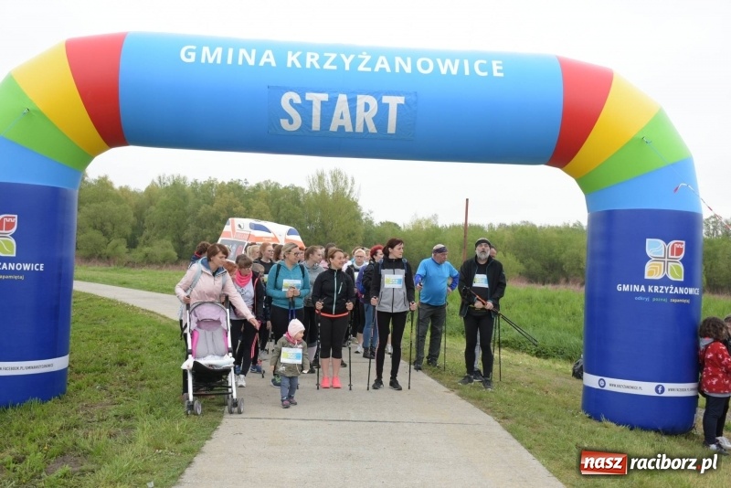 Zdjęcie w galerii na portalu naszraciborz.pl: Biegli i maszerowali, by pomóc Zosi [FOTO] wiadomości z regionu