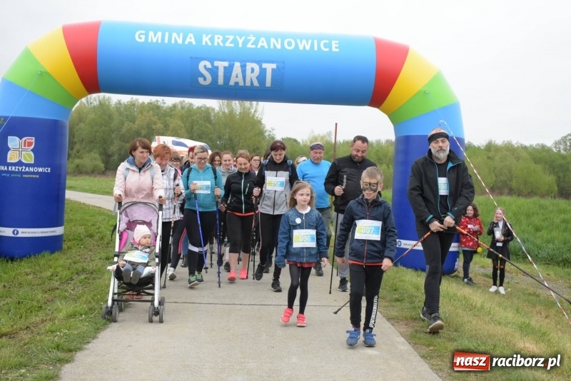 Zdjęcie w galerii na portalu naszraciborz.pl: Biegli i maszerowali, by pomóc Zosi [FOTO] wiadomości z regionu