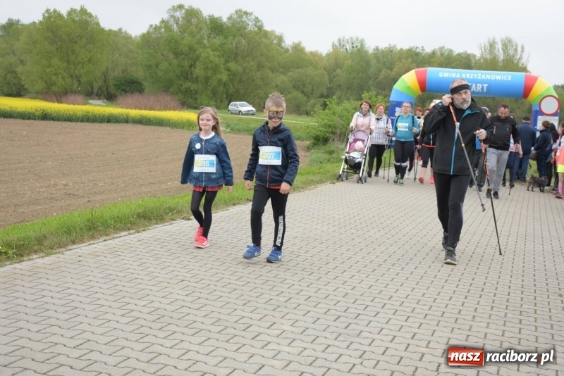Zdjęcie w galerii na portalu naszraciborz.pl: Biegli i maszerowali, by pomóc Zosi [FOTO] wiadomości z regionu