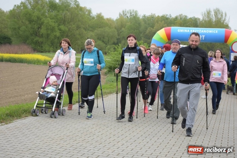 Zdjęcie w galerii na portalu naszraciborz.pl: Biegli i maszerowali, by pomóc Zosi [FOTO] wiadomości z regionu