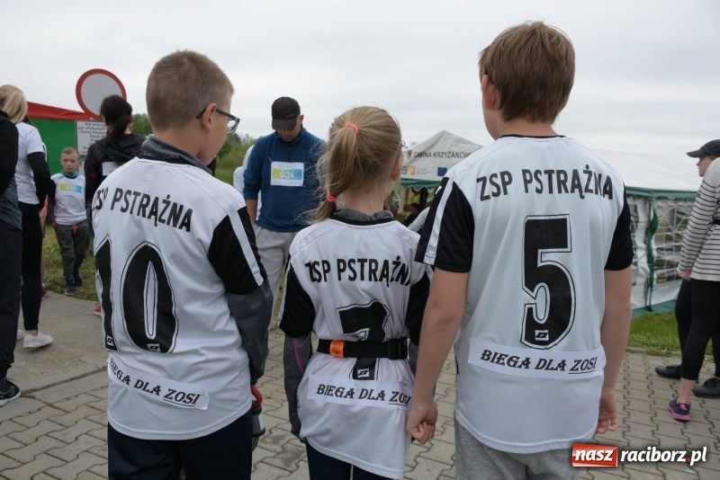 Zdjęcie w galerii na portalu naszraciborz.pl: Biegli i maszerowali, by pomóc Zosi [FOTO] wiadomości z regionu