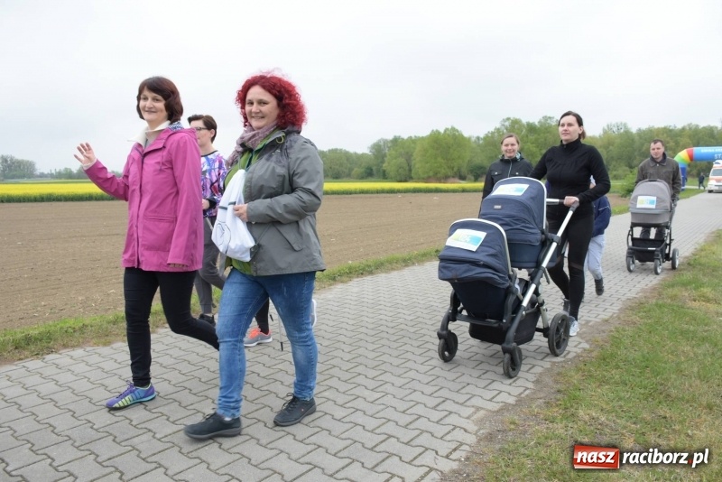 Zdjęcie w galerii na portalu naszraciborz.pl: Biegli i maszerowali, by pomóc Zosi [FOTO] wiadomości z regionu