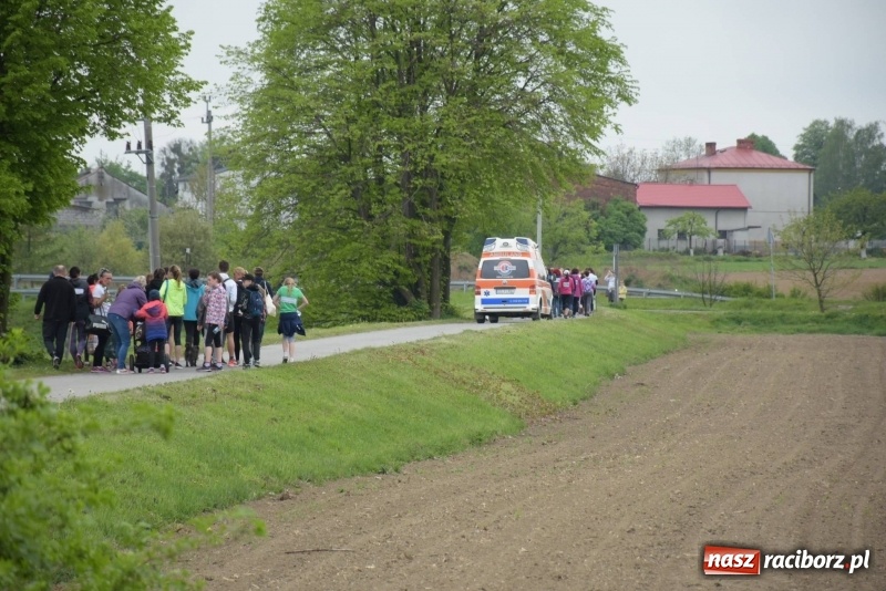 Zdjęcie w galerii na portalu naszraciborz.pl: Biegli i maszerowali, by pomóc Zosi [FOTO] wiadomości z regionu