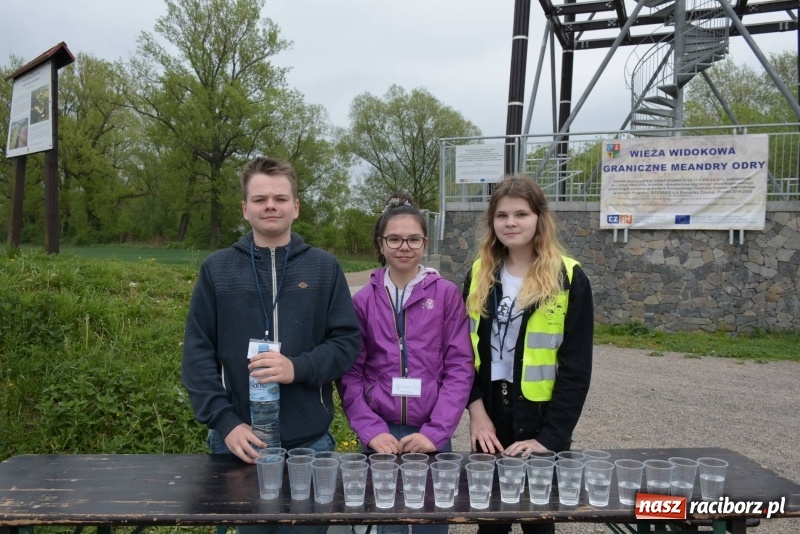 Zdjęcie w galerii na portalu naszraciborz.pl: Biegli i maszerowali, by pomóc Zosi [FOTO] wiadomości z regionu