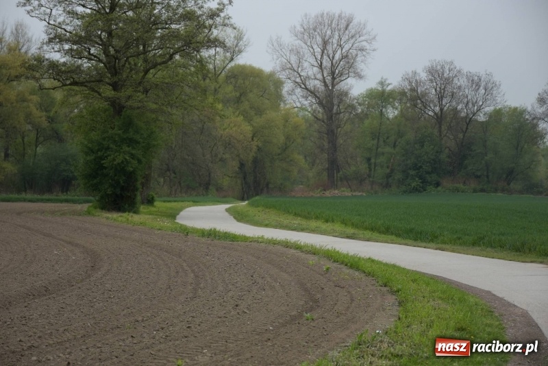 Zdjęcie w galerii na portalu naszraciborz.pl: Biegli i maszerowali, by pomóc Zosi [FOTO] wiadomości z regionu