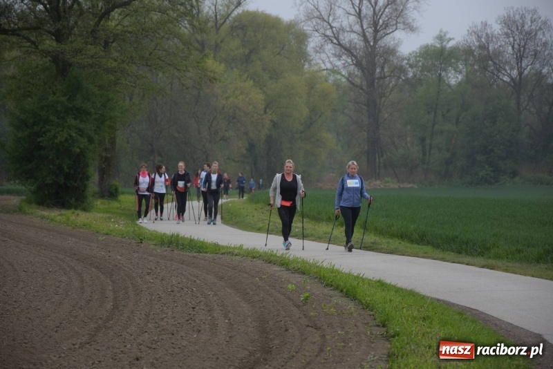 Zdjęcie w galerii na portalu naszraciborz.pl: Biegli i maszerowali, by pomóc Zosi [FOTO] wiadomości z regionu