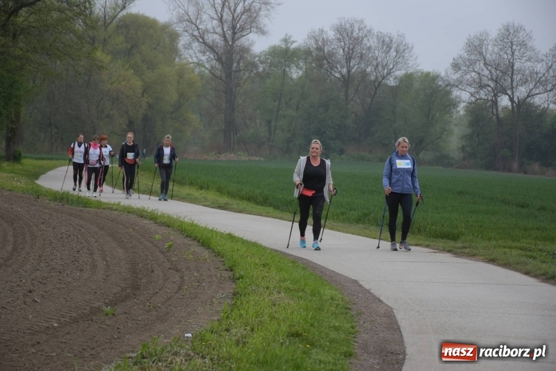 Zdjęcie w galerii na portalu naszraciborz.pl: Biegli i maszerowali, by pomóc Zosi [FOTO] wiadomości z regionu