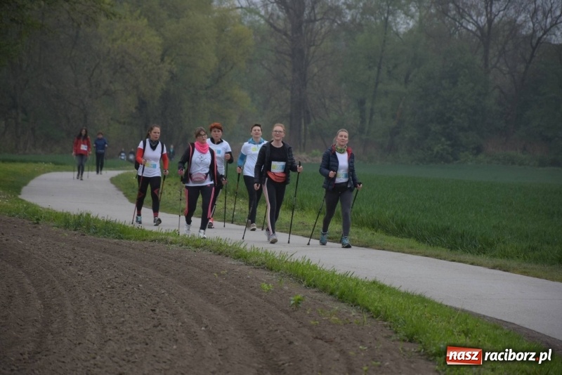 Zdjęcie w galerii na portalu naszraciborz.pl: Biegli i maszerowali, by pomóc Zosi [FOTO] wiadomości z regionu