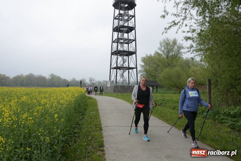 Zdjęcie w galerii na portalu naszraciborz.pl: Biegli i maszerowali, by pomóc Zosi [FOTO] wiadomości z regionu
