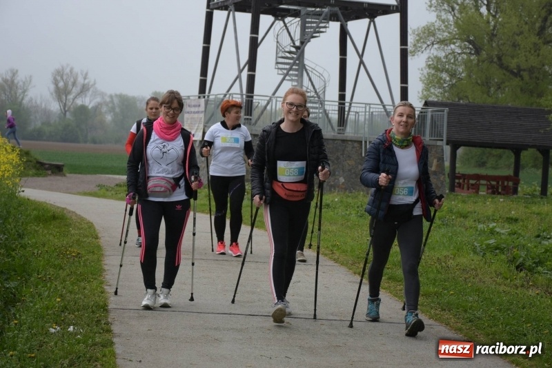 Zdjęcie w galerii na portalu naszraciborz.pl: Biegli i maszerowali, by pomóc Zosi [FOTO] wiadomości z regionu