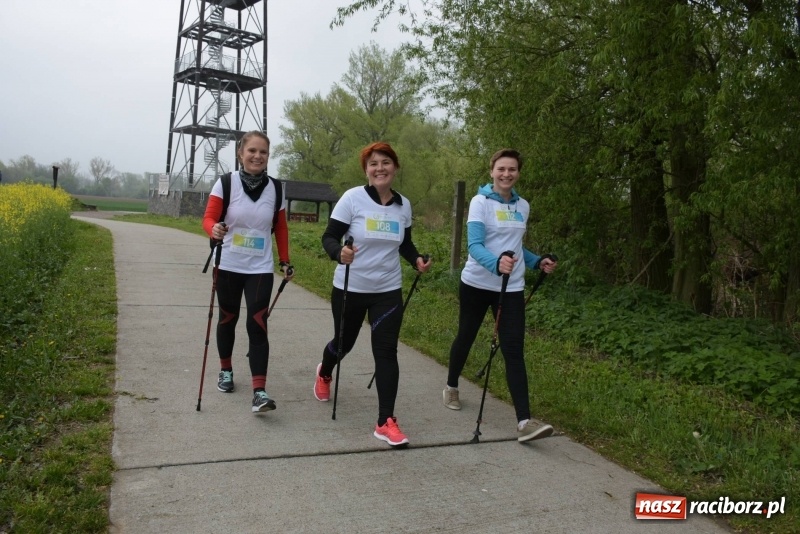 Zdjęcie w galerii na portalu naszraciborz.pl: Biegli i maszerowali, by pomóc Zosi [FOTO] wiadomości z regionu