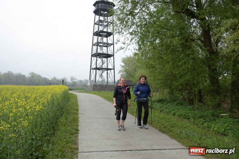 Zdjęcie w galerii na portalu naszraciborz.pl: Biegli i maszerowali, by pomóc Zosi [FOTO] wiadomości z regionu