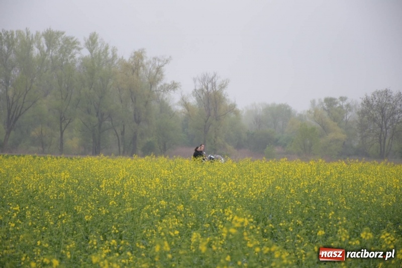 Zdjęcie w galerii na portalu naszraciborz.pl: Biegli i maszerowali, by pomóc Zosi [FOTO] wiadomości z regionu