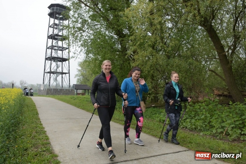 Zdjęcie w galerii na portalu naszraciborz.pl: Biegli i maszerowali, by pomóc Zosi [FOTO] wiadomości z regionu