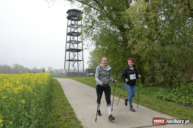 Zdjęcie w galerii na portalu naszraciborz.pl: Biegli i maszerowali, by pomóc Zosi [FOTO] wiadomości z regionu