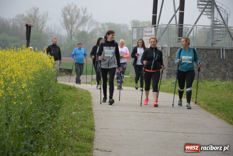 Zdjęcie w galerii na portalu naszraciborz.pl: Biegli i maszerowali, by pomóc Zosi [FOTO] wiadomości z regionu