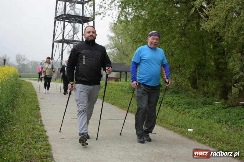 Zdjęcie w galerii na portalu naszraciborz.pl: Biegli i maszerowali, by pomóc Zosi [FOTO] wiadomości z regionu