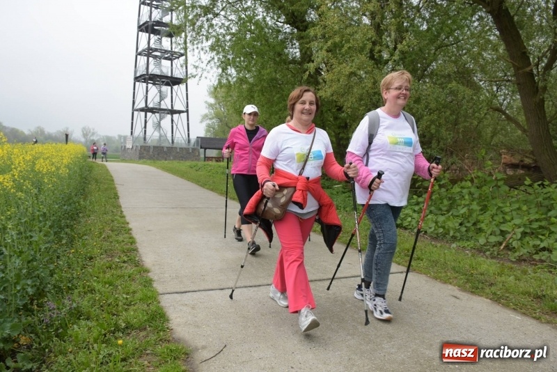 Zdjęcie w galerii na portalu naszraciborz.pl: Biegli i maszerowali, by pomóc Zosi [FOTO] wiadomości z regionu
