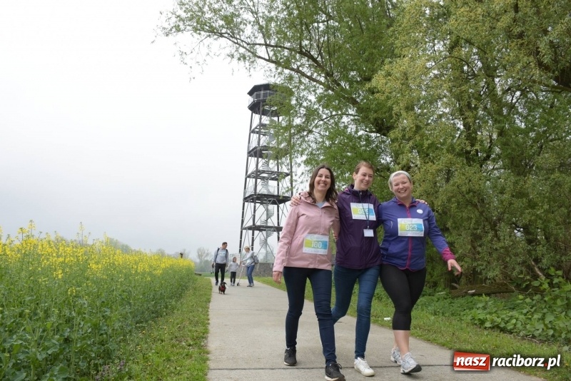 Zdjęcie w galerii na portalu naszraciborz.pl: Biegli i maszerowali, by pomóc Zosi [FOTO] wiadomości z regionu
