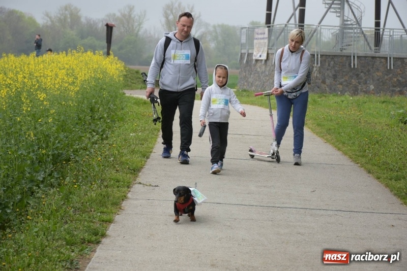 Zdjęcie w galerii na portalu naszraciborz.pl: Biegli i maszerowali, by pomóc Zosi [FOTO] wiadomości z regionu