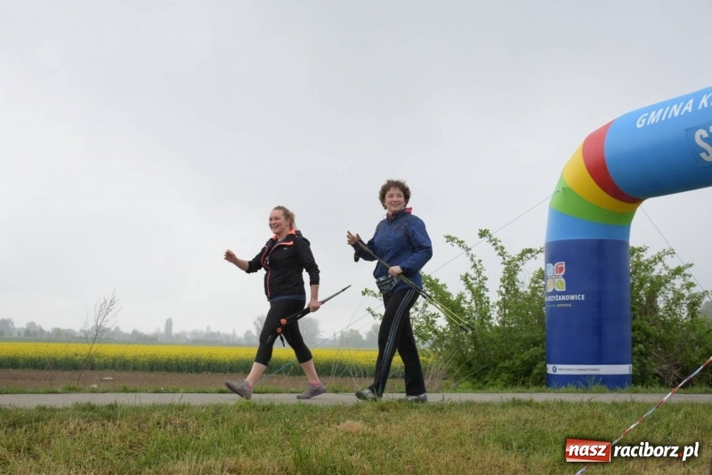 Zdjęcie w galerii na portalu naszraciborz.pl: Biegli i maszerowali, by pomóc Zosi [FOTO] wiadomości z regionu