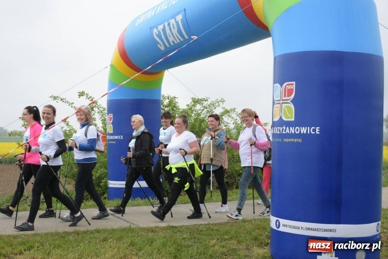 Zdjęcie w galerii na portalu naszraciborz.pl: Biegli i maszerowali, by pomóc Zosi [FOTO] wiadomości z regionu