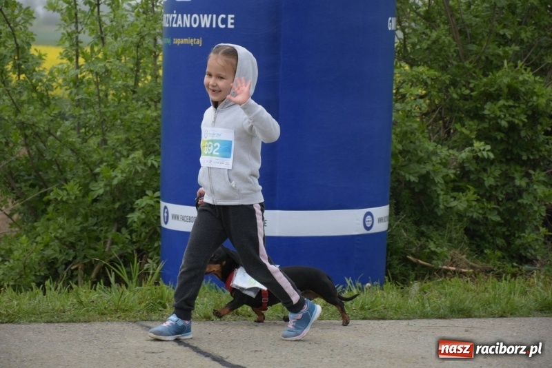 Zdjęcie w galerii na portalu naszraciborz.pl: Biegli i maszerowali, by pomóc Zosi [FOTO] wiadomości z regionu