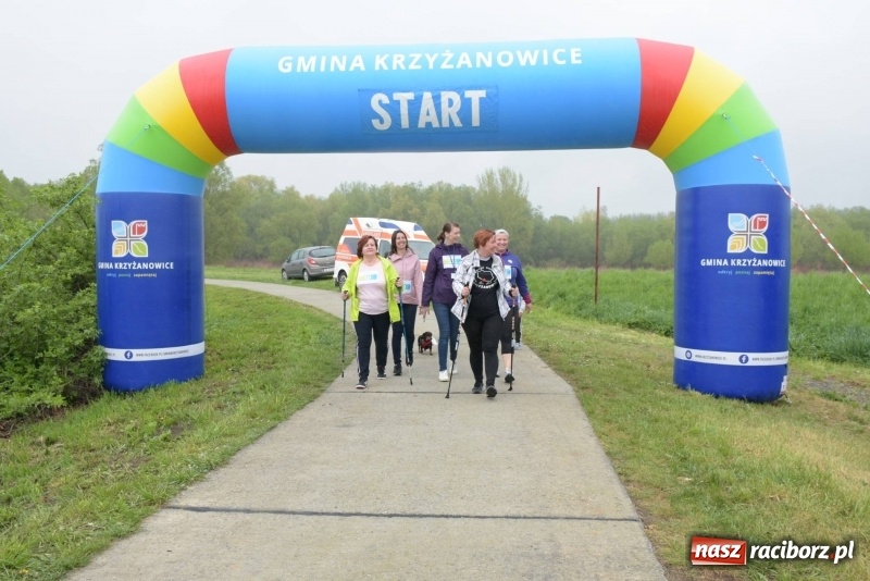 Zdjęcie w galerii na portalu naszraciborz.pl: Biegli i maszerowali, by pomóc Zosi [FOTO] wiadomości z regionu