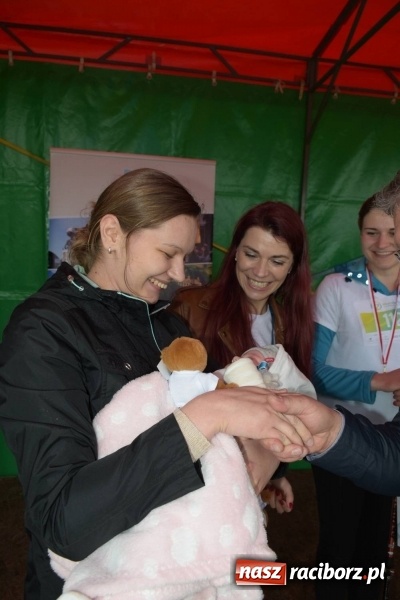 Zdjęcie w galerii na portalu naszraciborz.pl: Biegli i maszerowali, by pomóc Zosi [FOTO] wiadomości z regionu