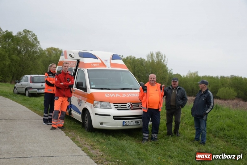Zdjęcie w galerii na portalu naszraciborz.pl: Biegli i maszerowali, by pomóc Zosi [FOTO] wiadomości z regionu